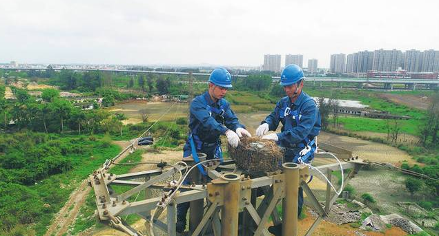 保護(hù)生態(tài)和諧共生，IKAR防墜器出一份力！